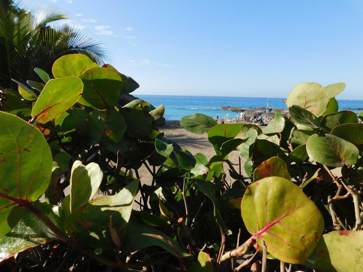 Apartament Brisas Del Mar Costa Adeje  Zewnętrze zdjęcie