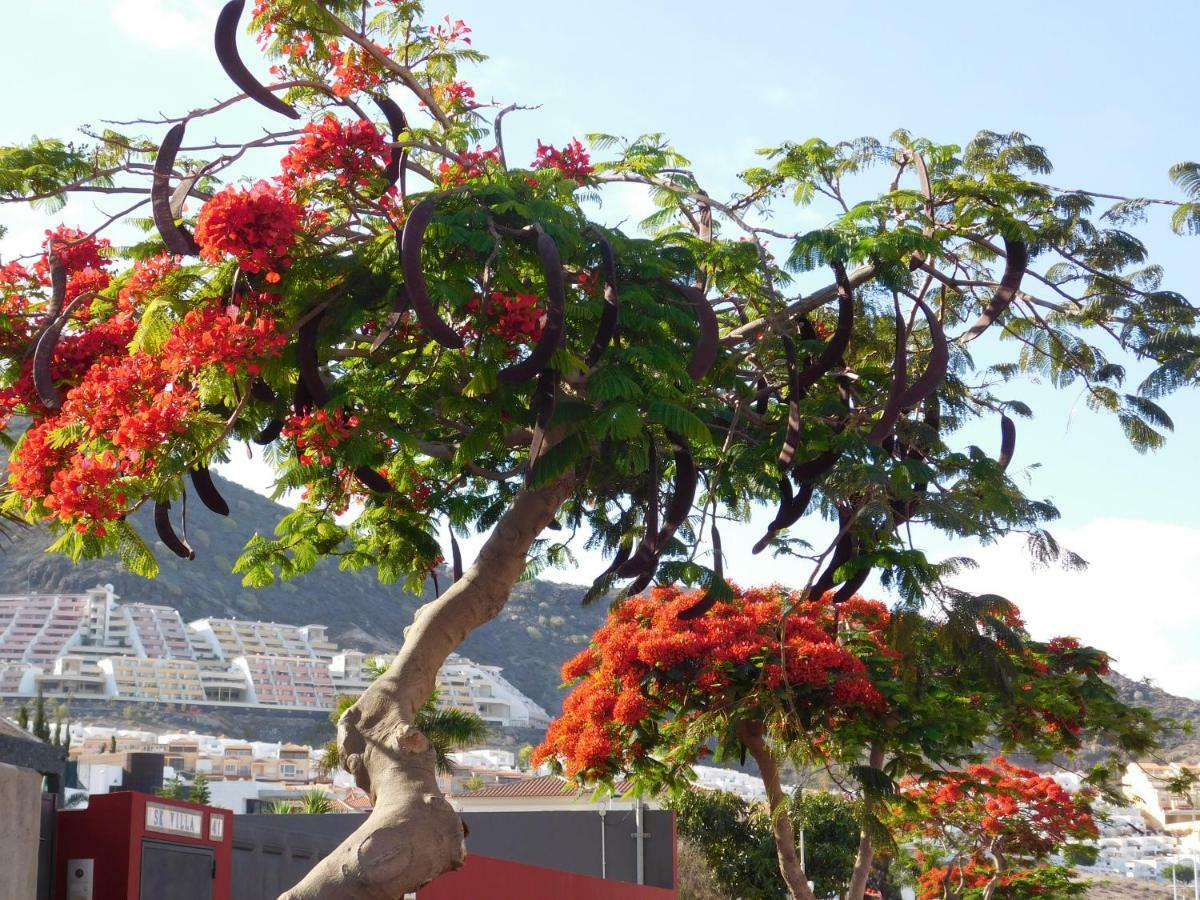 Apartament Brisas Del Mar Costa Adeje  Zewnętrze zdjęcie