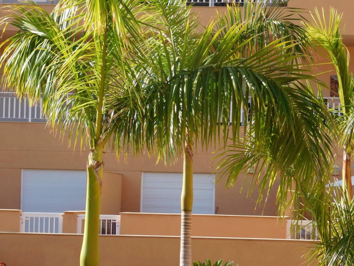 Apartament Brisas Del Mar Costa Adeje  Zewnętrze zdjęcie
